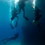 Florida Blue Bay &