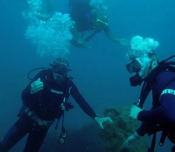 度假村 佛罗里达蓝海湾度假酒店及水疗中心