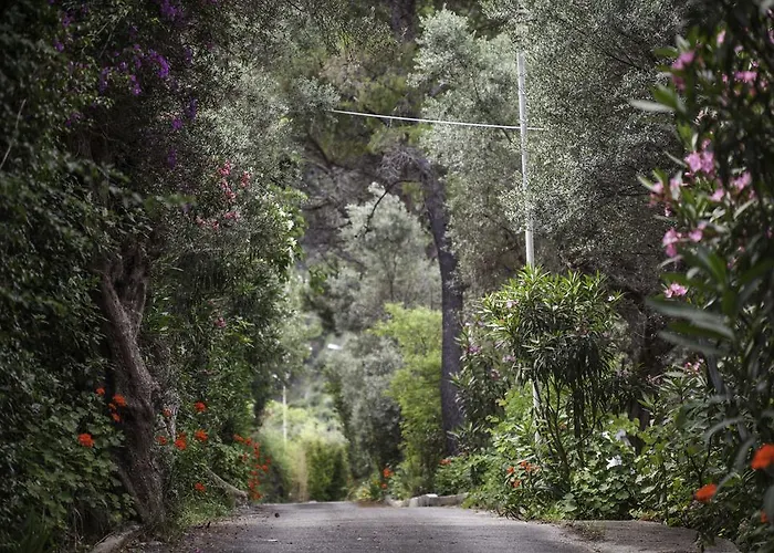 度假村 佛罗里达蓝海湾度假酒店及水疗中心 普萨索皮尔戈斯