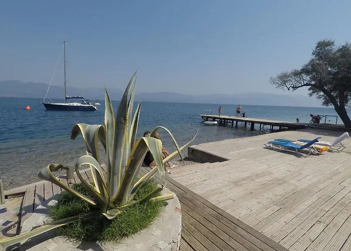 佛罗里达蓝海湾度假酒店及水疗中心 4*