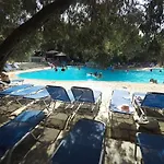 Florida Blue Bay & פסאתופירגוס