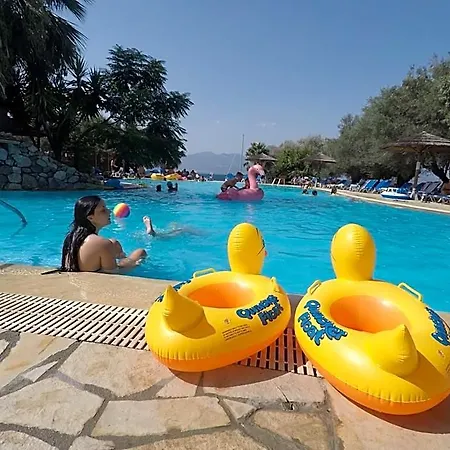 Florida Blue Bay & פסאתופירגוס