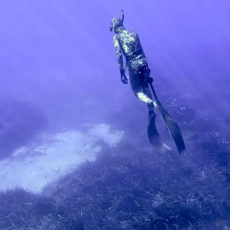 Florida Blue Bay &