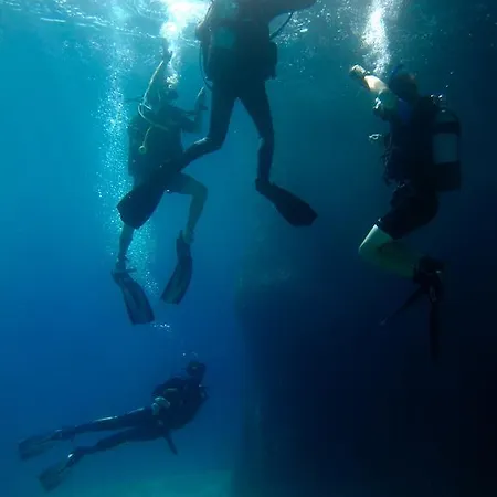 Florida Blue Bay &